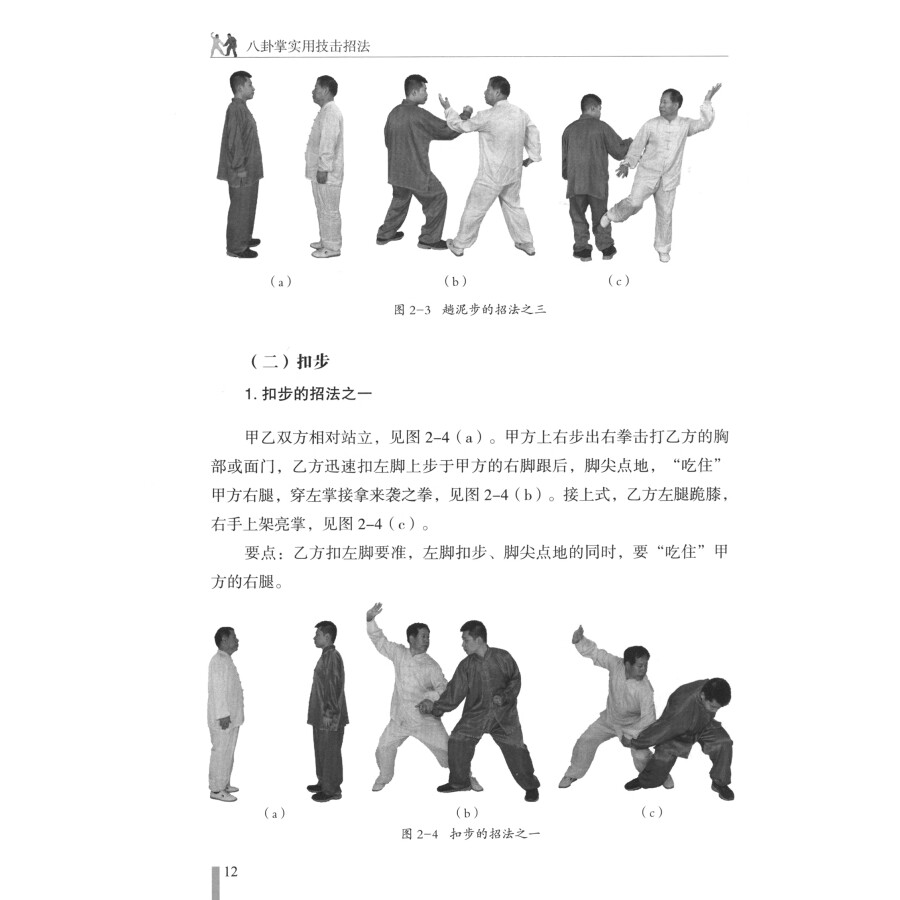 Eight Trigrams Palm Ba Gua Zha - Photography Techniques avis et prix