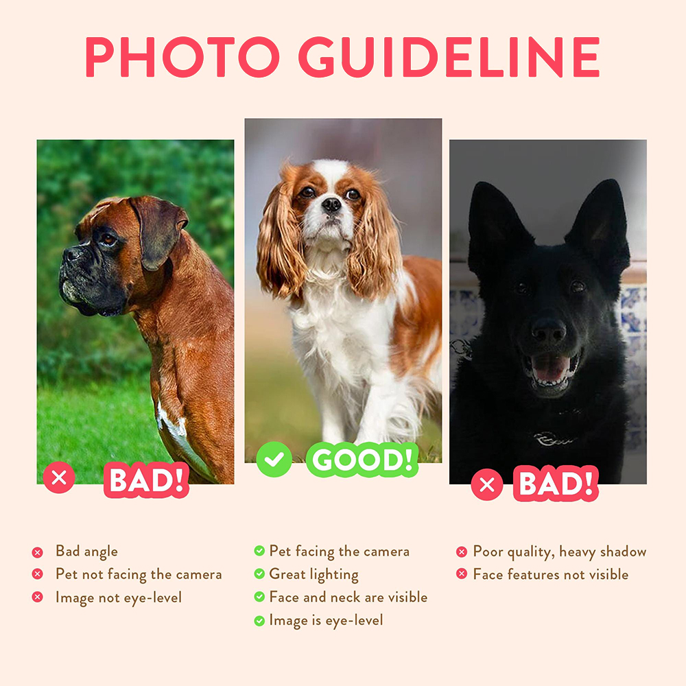 Personalized Pet Portraits Pho - Photographic Memory avis et prix