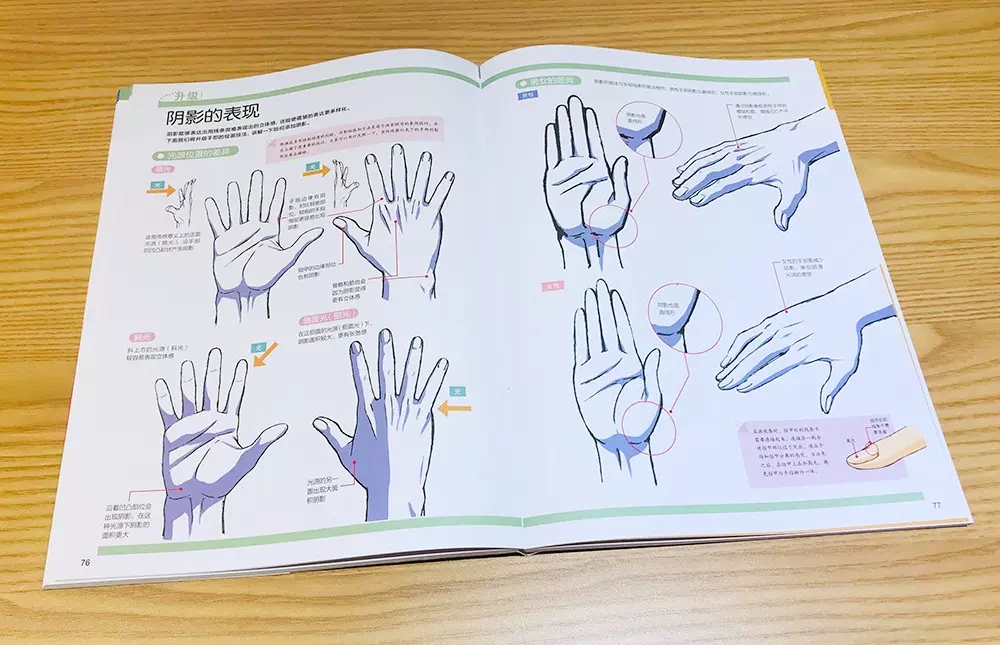 Kagami Takahiro's Hand Paintin - Photography Techniques avis et prix