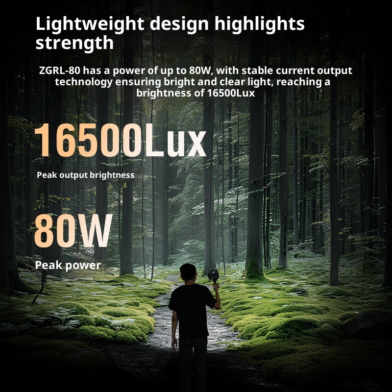 ZGRL80 80W COB LED Video Light - Photography Darkroom avis et prix