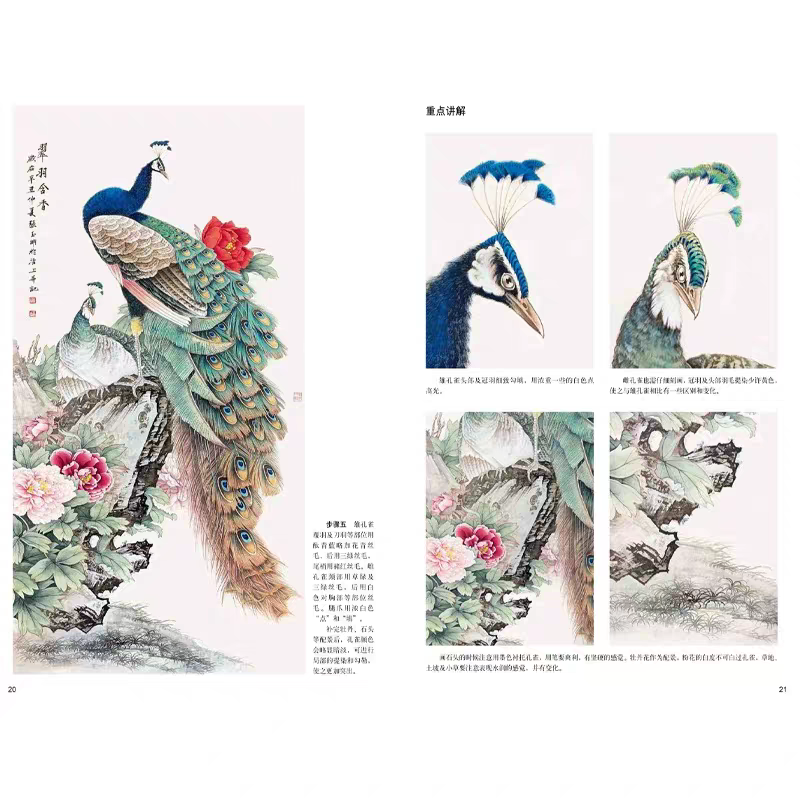 Chinese Peacock Painting book  - Photography Techniques avis et prix